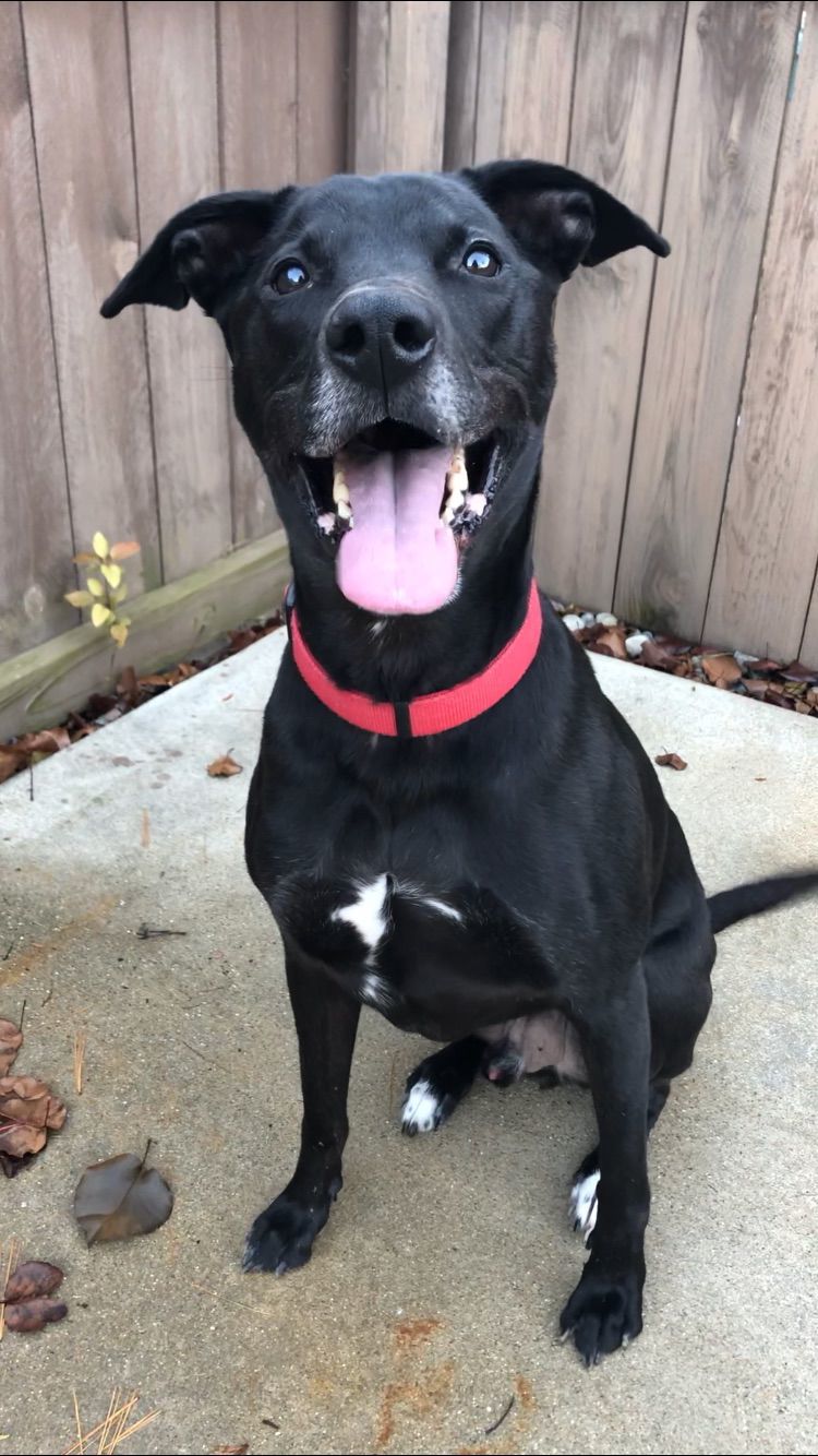 Onyx